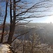 an der Oberkante