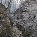 Blick nach vorn