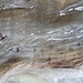 der Glimmersandstein ist deutlich geschichtet - Schräglagerung, Erosion, neue Ablagerungen