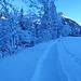 Schneeschuh Trail