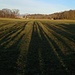 Ombre lunghe del tardo pomeriggio.