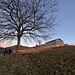 Prato Giugno