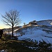 Prato Giugno