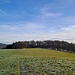 Start meiner Tour war das kleine, herrlich gelegene Örtchen Seidenbuch. Von hier aus führt ein Trampelpfad über eine große Wiese Richtung Osten, zum Waldrand.