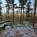 Die Jennys-Höhe bildet den höchsten Punkt einer etwa achtzig Meter langen, teils sehr steilen Felswand mit kompakten Spaltplatten aus Odenwälder Granit, deren Umfang bis zu 40 Meter beträgt. In früheren Jahren, als der Berg noch nicht so dicht und hoch bewachsen war, hatte man von diesem Platz aus einen wunderbaren Blick auf den vorderen Odenwald und die nördliche Bergstraße. Heute ist davon leider nichts mehr zu sehen.
