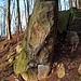 Hier ist offensichtlich ordentlich was los. Ich fand weiße Flecken, Approachungspfade und Rastplätze im Wald.