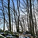 Ich musste allerdings vorsichtig sein, denn die Felsen waren mit einer dünnen Schneeauflage und Rauhreif bedeckt.<br />