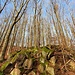 Ich stieg weglos die nächsten kleinen Granitrippen hinauf zum Götzischberg.