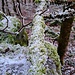 Mehr Impressionen. 
