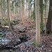 Im Schannenbacher Moor. Das Moor erstreckt sich über ein Gebiet von etwa 16 Hektar und ist nach Westen hin über den Gronauer Bach mit dem Meerbach verbunden. Naturnahe Wälder bedecken etwa ein Viertel des Naturschutzgebiets, der Rest wird von Feuchtwiesen gebildet.
