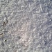 Winter is!