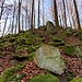 Ich stieg, erneut einer Granitrippe folgend, hinunter zum nächsten Querweg. 