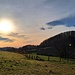 ...und wanderte in südlicher Richtung über die hübsche Wiese.