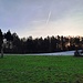 Was wohl die Geschichte hinter diesem Bild ist?