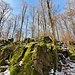 Ich verließ den Weg, und stieg in die Boulderfolge ein...