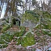 Ich folgte dem Fuß der Felswand nach Westen, und stieg dann zum Gipfel wieder hinauf. Dann nahm ich den Waldweg in südwestlicher Richtung, bis zu einer engen Kurve am Waldrand. 