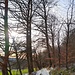 Ich folgte einem Weg, der östlich des Knörschhügels dem Waldrand folgt. 
