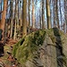 Ich stieg und kraxelte die Kuppe hinauf, stets den spannendsten Felsen folgend.