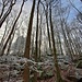 Ourewinter