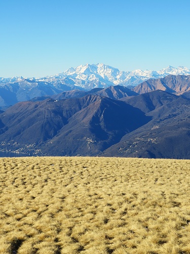 Il Monte Rosa dalla cima del Monte Rosa.