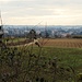 La vista dai pressi della chiesa di San Nazzaro con il Seminario di Venegono sullo sfondo.