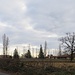 La Cascina Colombaia.