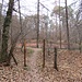 Di nuovo allo Stagno della Madonnetta.