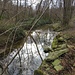 Il Torrente Tenore.