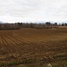 Campi a Pianalto.