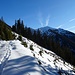 Danach geht es auf einer Schneise aufwärts, hier habe ich mich verleiten lassen, diesen Spuren zu folgen, die aber in einem Verhauer enden.