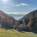 Der Herbst von seiner schönsten Seite