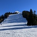 Viele Pistentourengeher unterwegs zum Arbeserkogl / Hechlerhaus