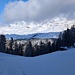 Wieder unten bei der Alp Pra Miez.