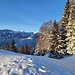 ... mit Blick gegen Hirzli - Chöpfer & Co