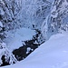 Blick von der Brücke über den Steinenbach.