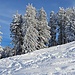 Winterzauber