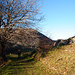 Über sonnige Wiesen wandern wir nach Lumini