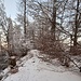 "Gratwanderung"