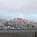 Eine tagelange Nebelrandlage hat eine märchenhafte Winterlandschaft erzeugt