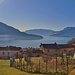 Vercana