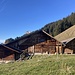 schöne, hübsch gelegene Alp auf Müllersbode