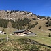 an der Alp auf Spittelnacki vorbei ...