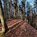 Steinköpfel (773 m) - höchster Punkt, aber nur ein Markierungsstein