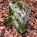 uralter Grenzstein