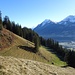 unser weiterer Weg oberhalb Brumatti auf Ägerti
