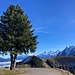 in der letzten Kurve vor dem Alpbeizli ...