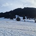 Da geht es hinauf 