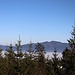 Ausblick vom Ödriegel  in nordöstlicher Richtung zum Osser