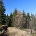 unterwegs am Ödriegel 