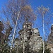 Felsen vom Ödriegel